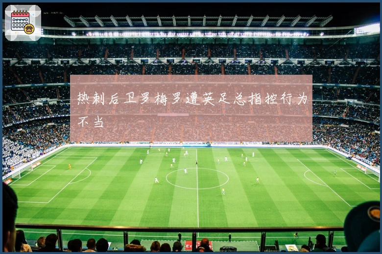 热刺后卫罗梅罗遭英足总指控行为不当