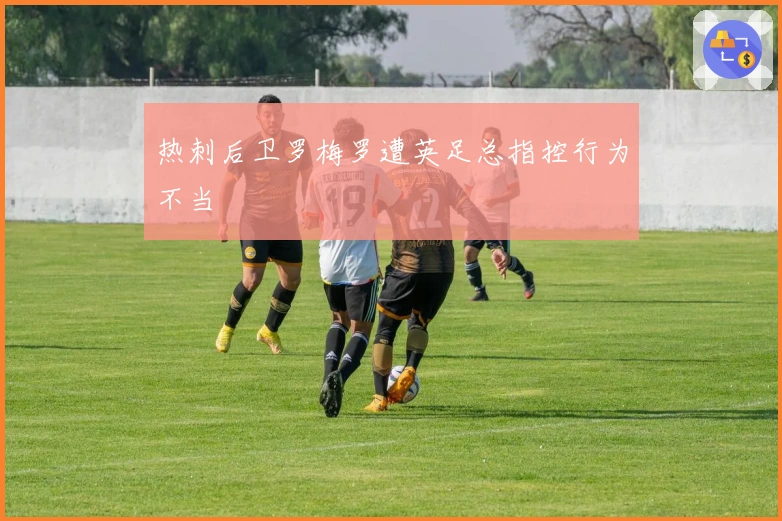 热刺后卫罗梅罗遭英足总指控行为不当