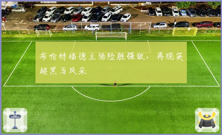 布伦特福德主场险胜强敌，再现英超黑马风采