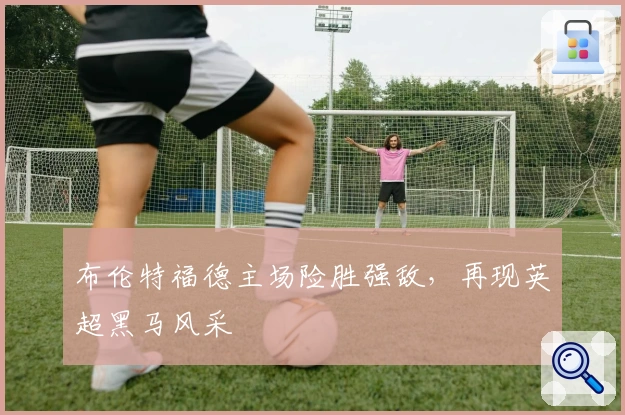 布伦特福德主场险胜强敌，再现英超黑马风采