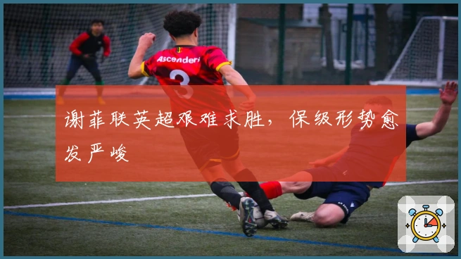 谢菲联英超艰难求胜，保级形势愈发严峻